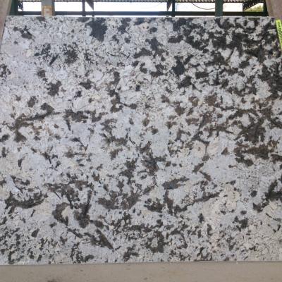 Delicatus White Granite